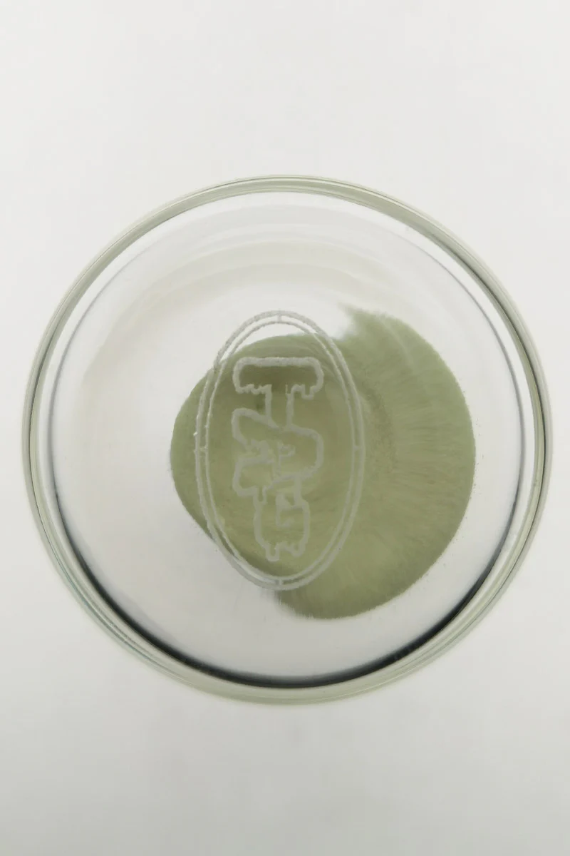TAG - 3.5" Hour Glass with Glow in the Dark Sand - Image 25
